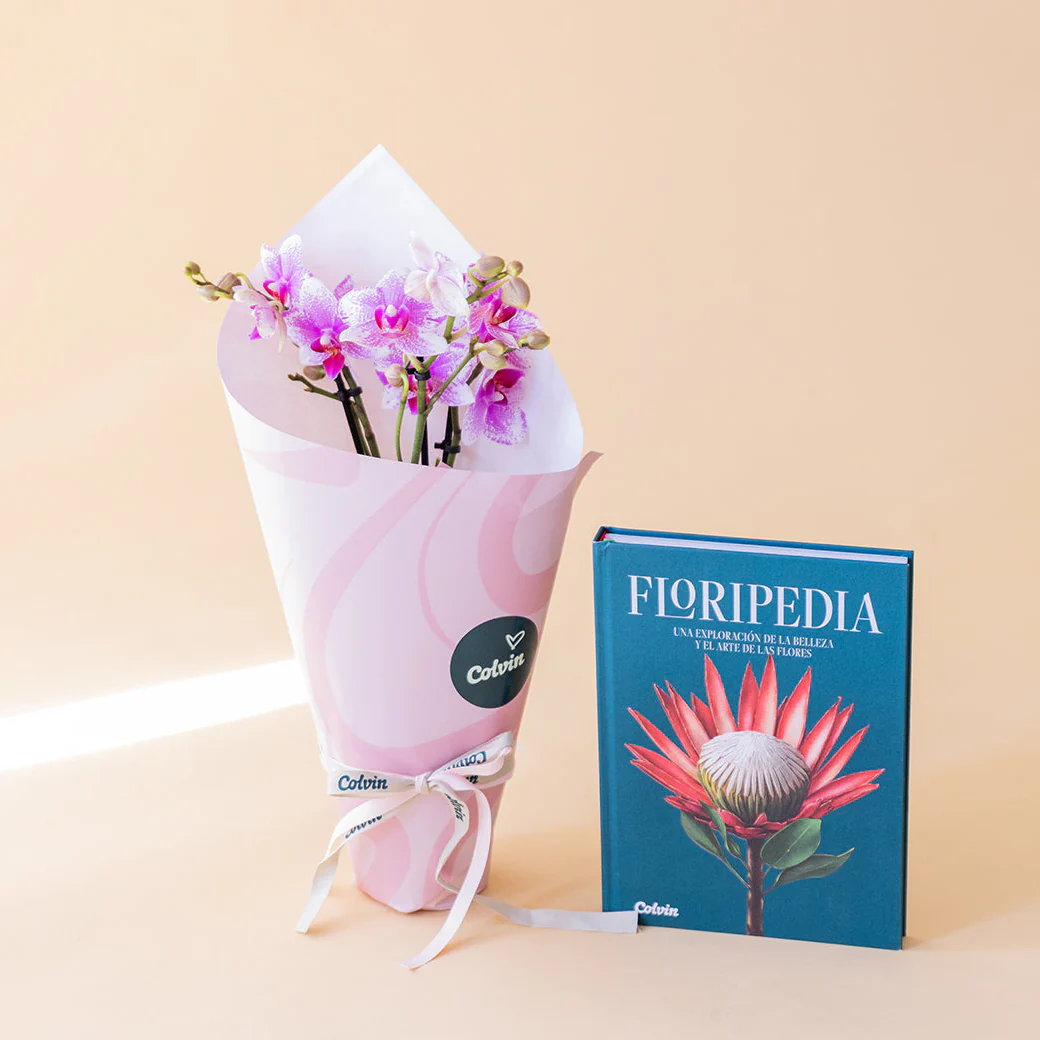 [Add-ons PDP] Packs with Books no Greeting